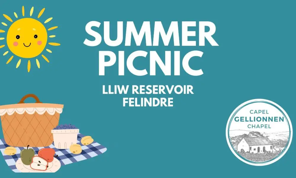 Summer Picnic at Lliw Reservoir