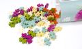 Plus-Plus Botanica Colormix: Why It’s Still on Our Kitchen Table