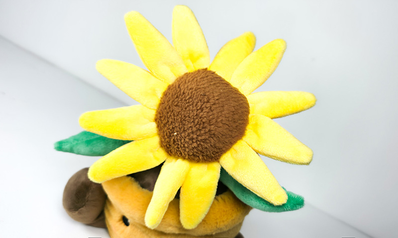 Top Yellow Flower
