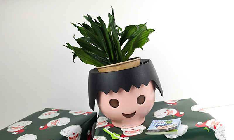 OJO Self-Watering Planter with plant