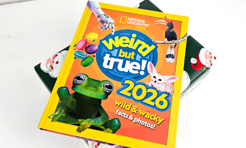 Weird but True! 2026