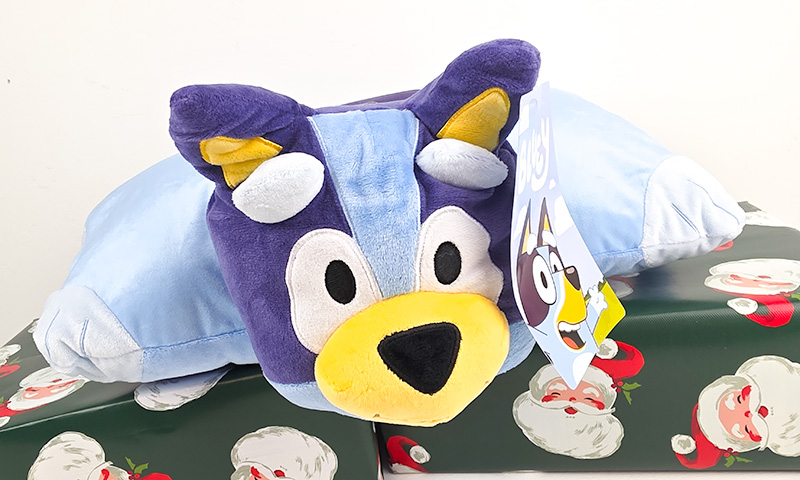 Bluey Character Pillow Cushion