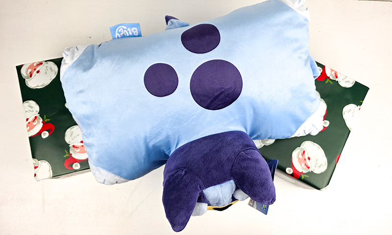 Bluey Character Pillow Cushion above