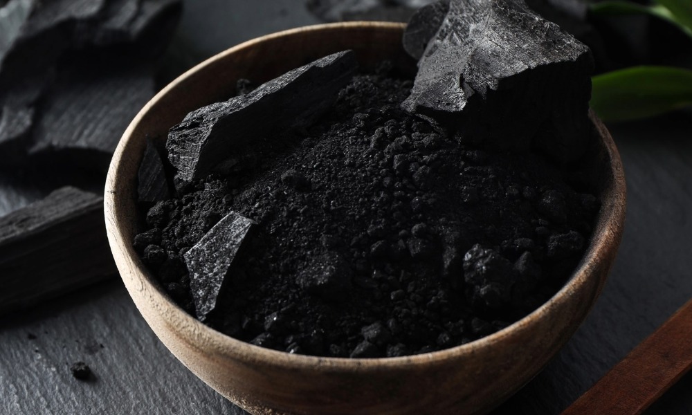 Activated Charcoal in a bowl