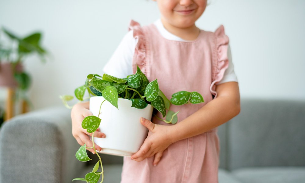 FAMILY HEALTH Child with indoor plant