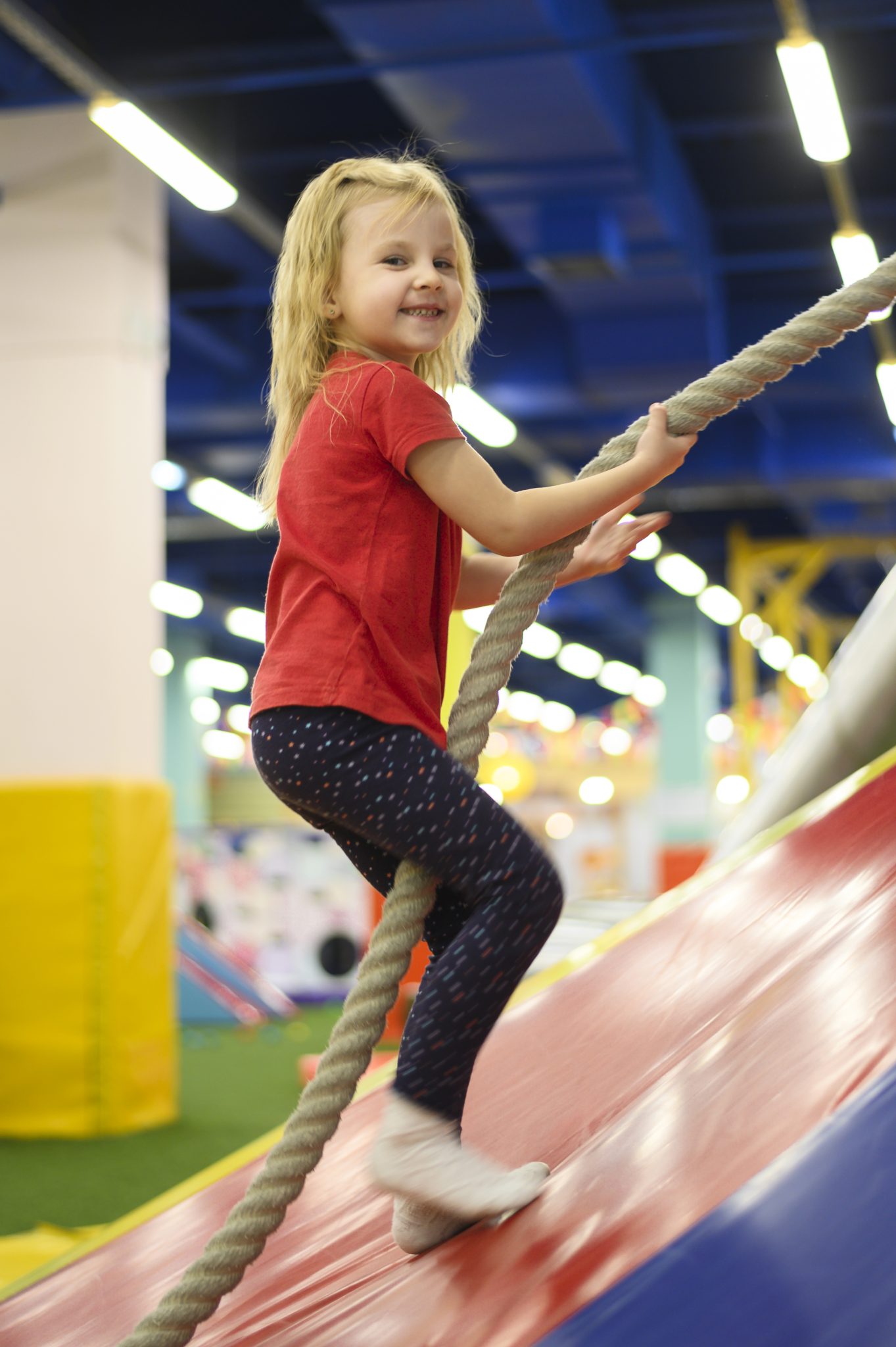 Feb Half Term Whats On Ceredigion