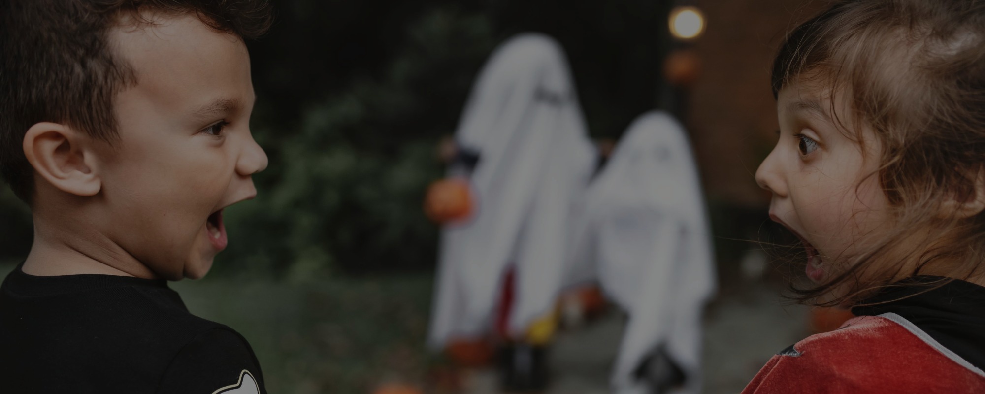 Halloween Page Header Image 2025