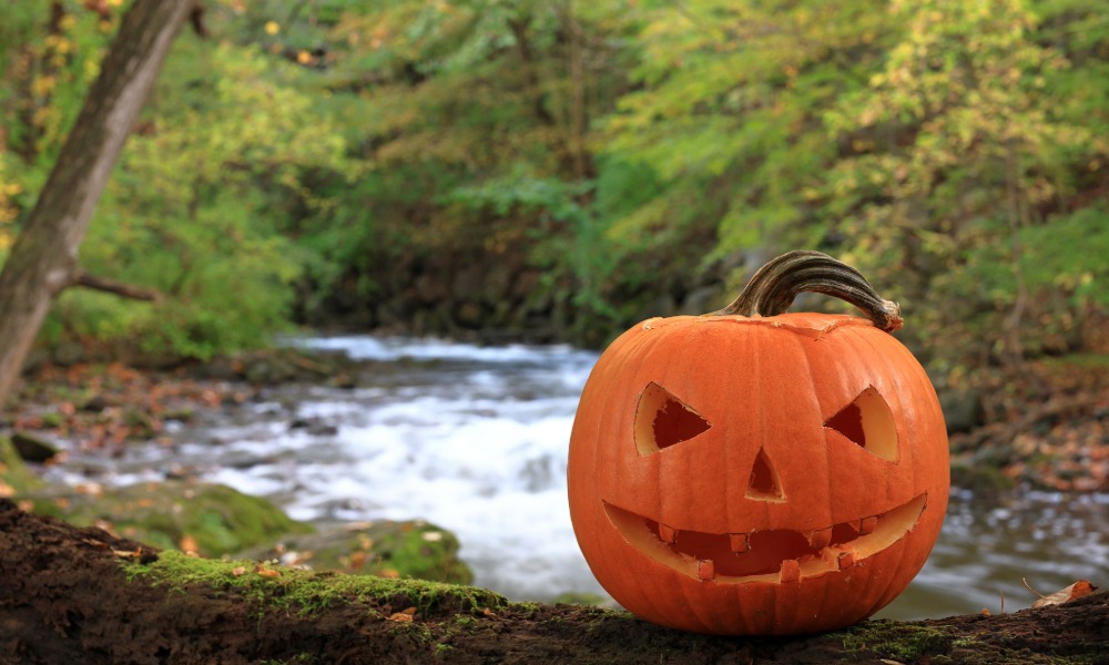 Halloween Trails at Penllergare family woodland trail for half-term near Swansea