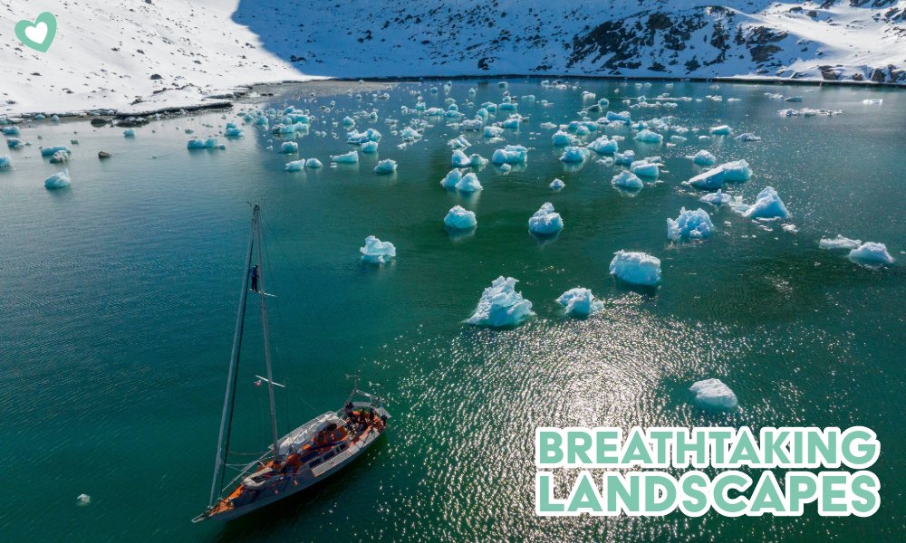 LOCAL NEWS Breataking Landscapes