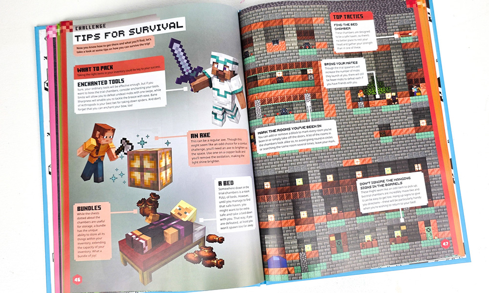 Minecraft Annual 2026 up close