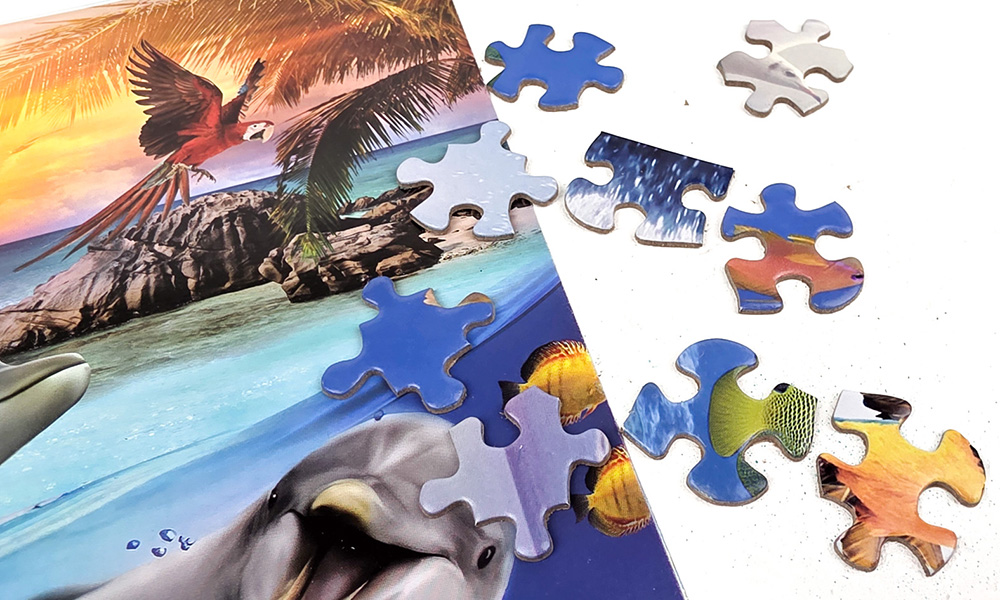 Ocean World Jigsaw out the box