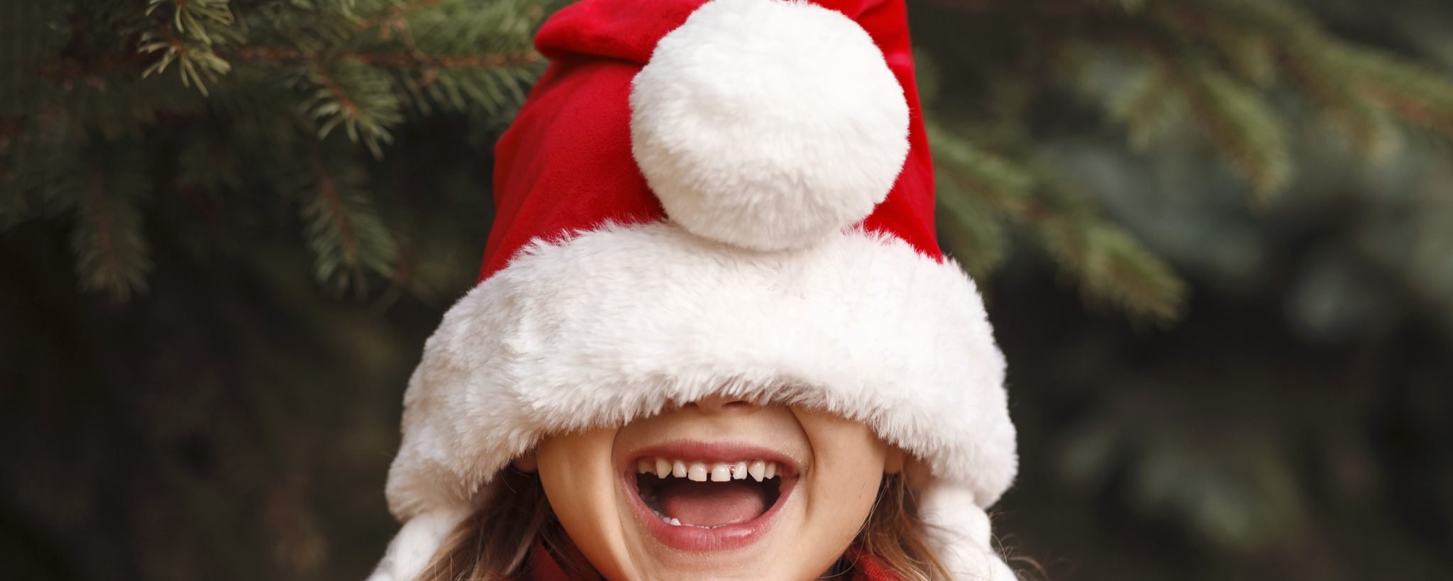 Page Header Family Life at Christmas