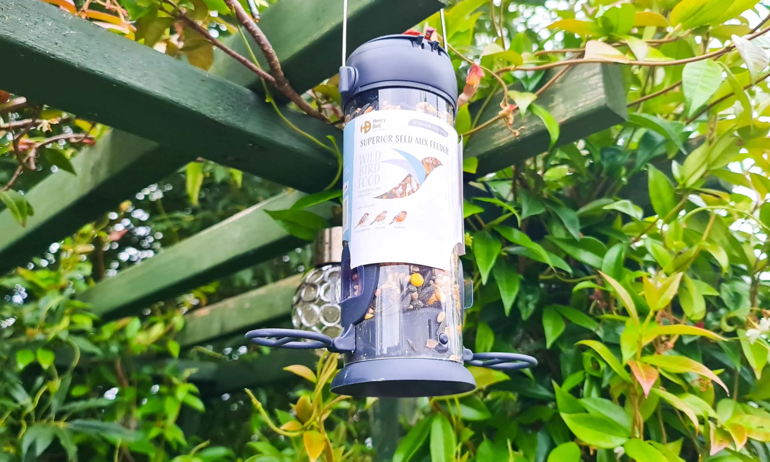 Henry Bell Wild Bird Care review bird feeder