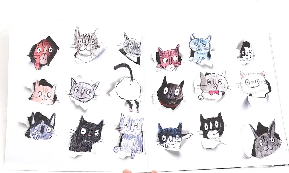REVIEW: The Cats Who Wanted More - West Wales Family Life