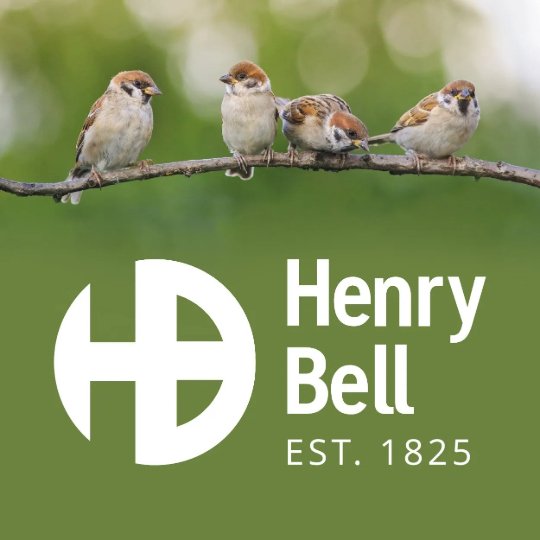 Henry Bell