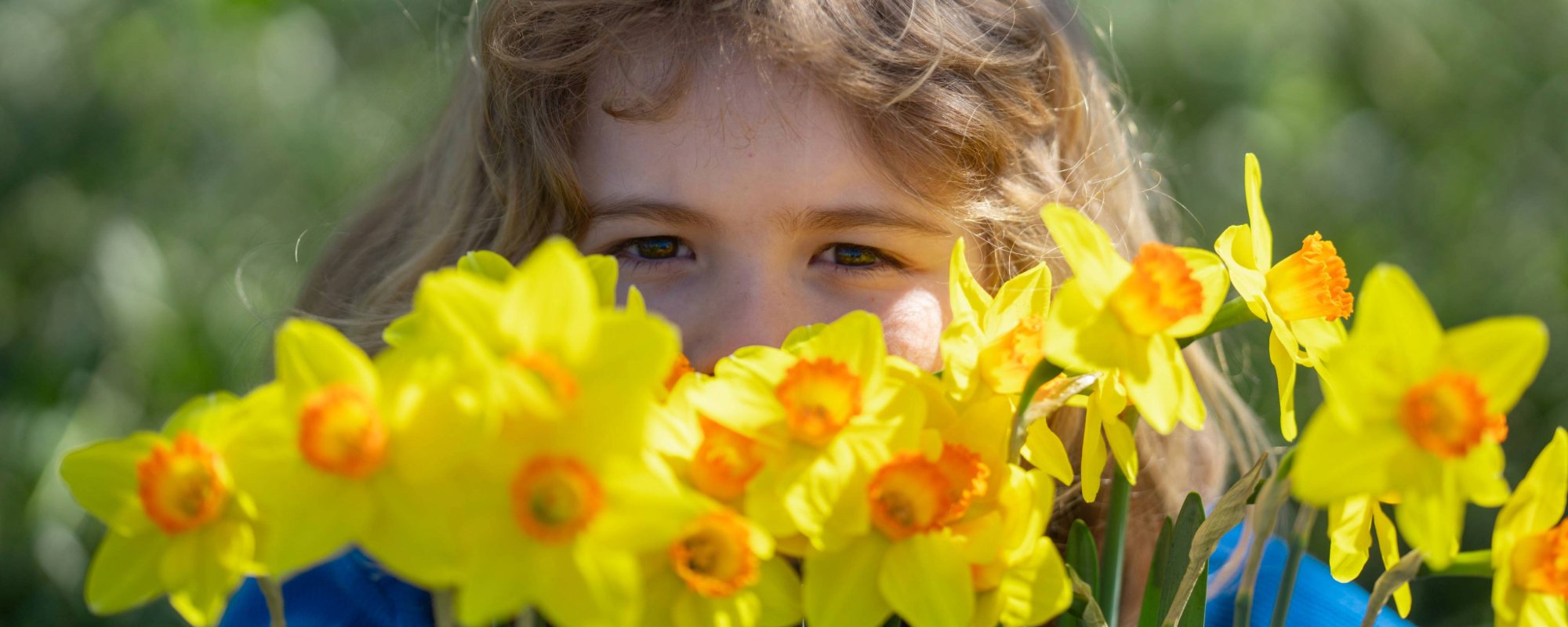 St David's Day Header