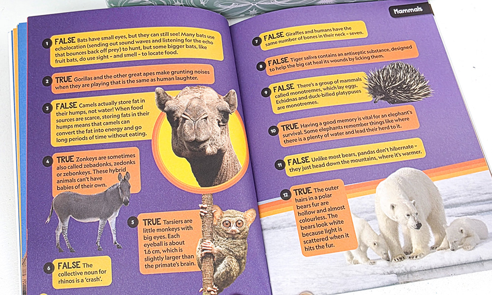 True or False Book up close