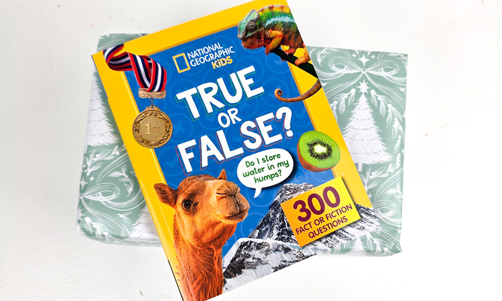 True or False Book