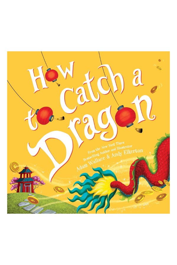 How to Catch a Dragon