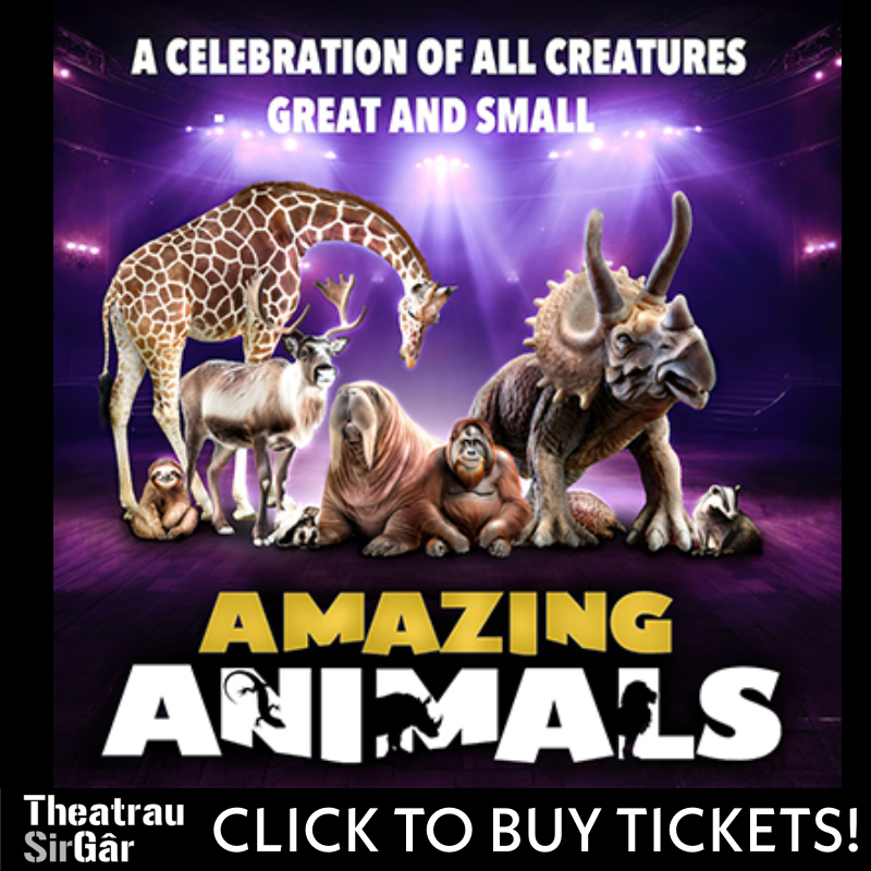 WHATS ON IN CARMARTHENSHIRE Amazing Animals