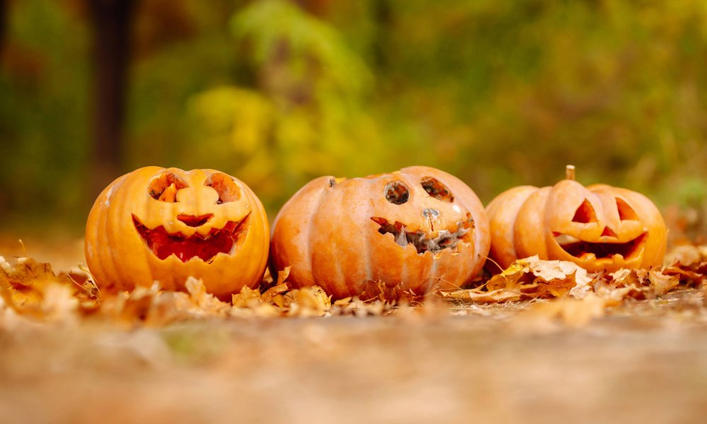 WHATS ON IN CARMARTHENSHIRE Pumpkin Trail at Pembrey Country Park