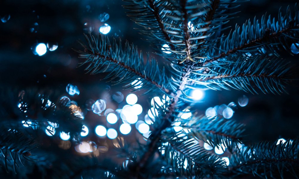 WHATS ON IN NEATH PORT TALBOT Ystradgynlais RFC Christmas Lights Switch On