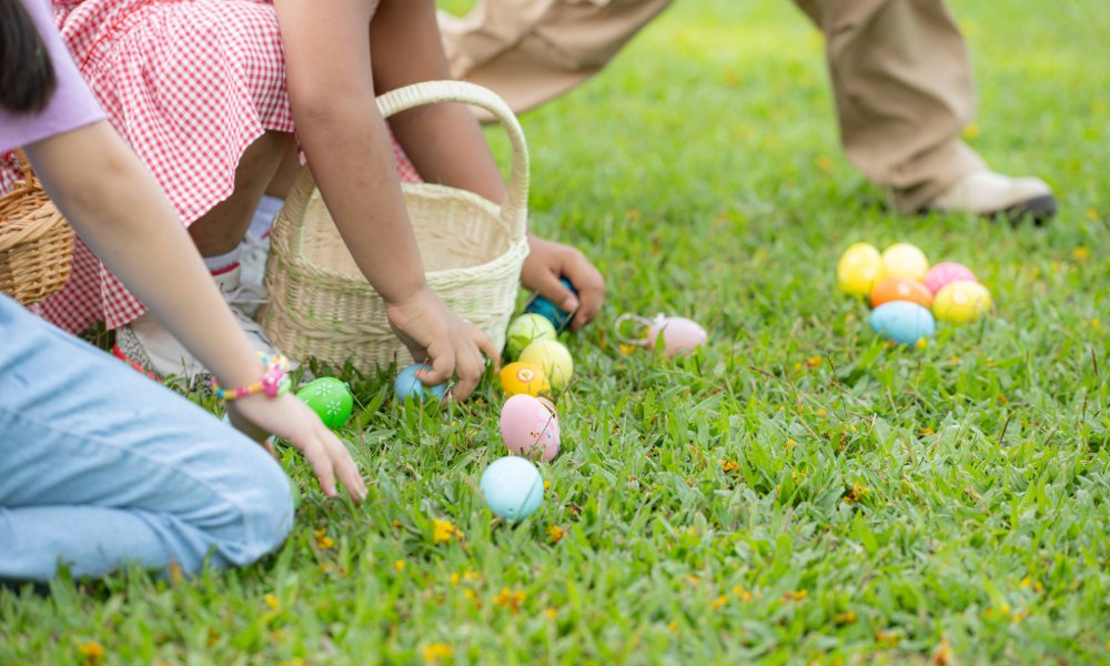 WHATS ON IN SWANSEA Coed Gwilym Park Easter Egg Hunt