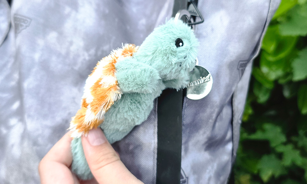 Warmies Turtle Keyring Review Gift for School Bags