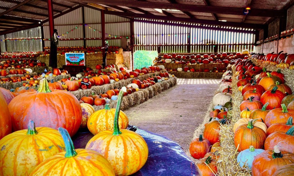 Windsor Farm