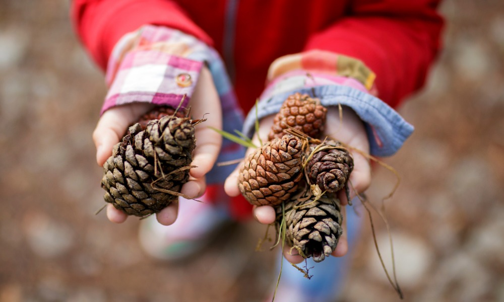 Woodland Explorers Autumn Scavenger Hunt