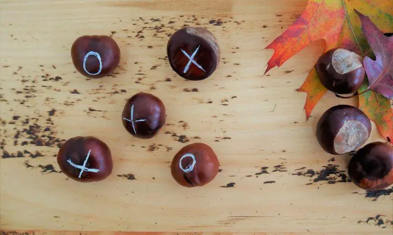 Conker Noughts and Crosses Conker Craft Ideas