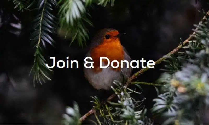 LATEST NEWS How to Take Part in the RSPB BIG Garden Birdwatch in West Wales in article 2