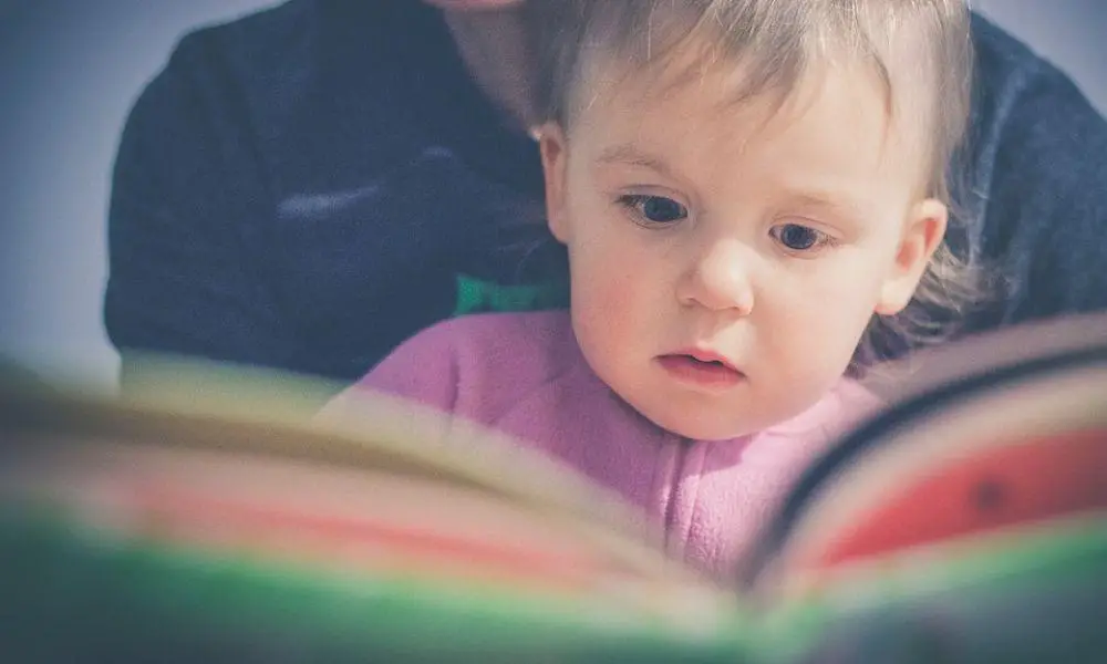 New Welsh Language resources for Ceredigion Childminders