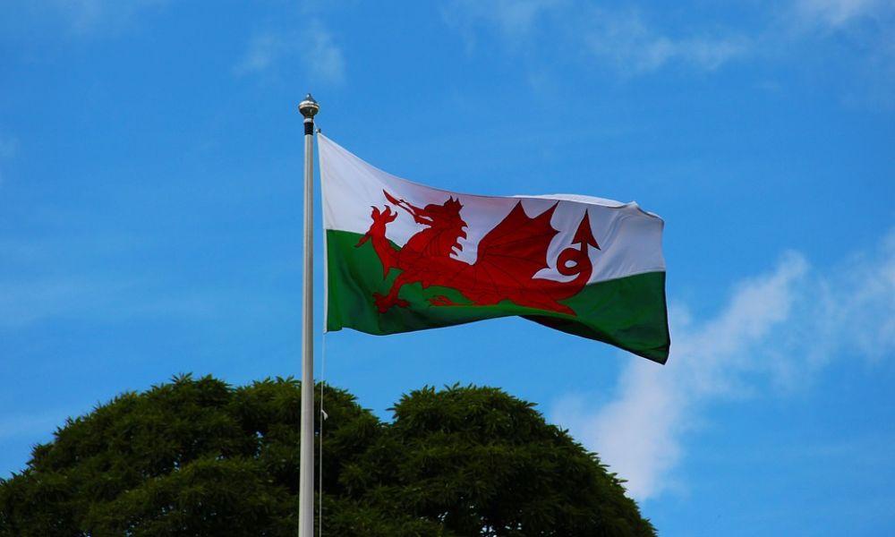 8 St David’s Day Facts for Kids