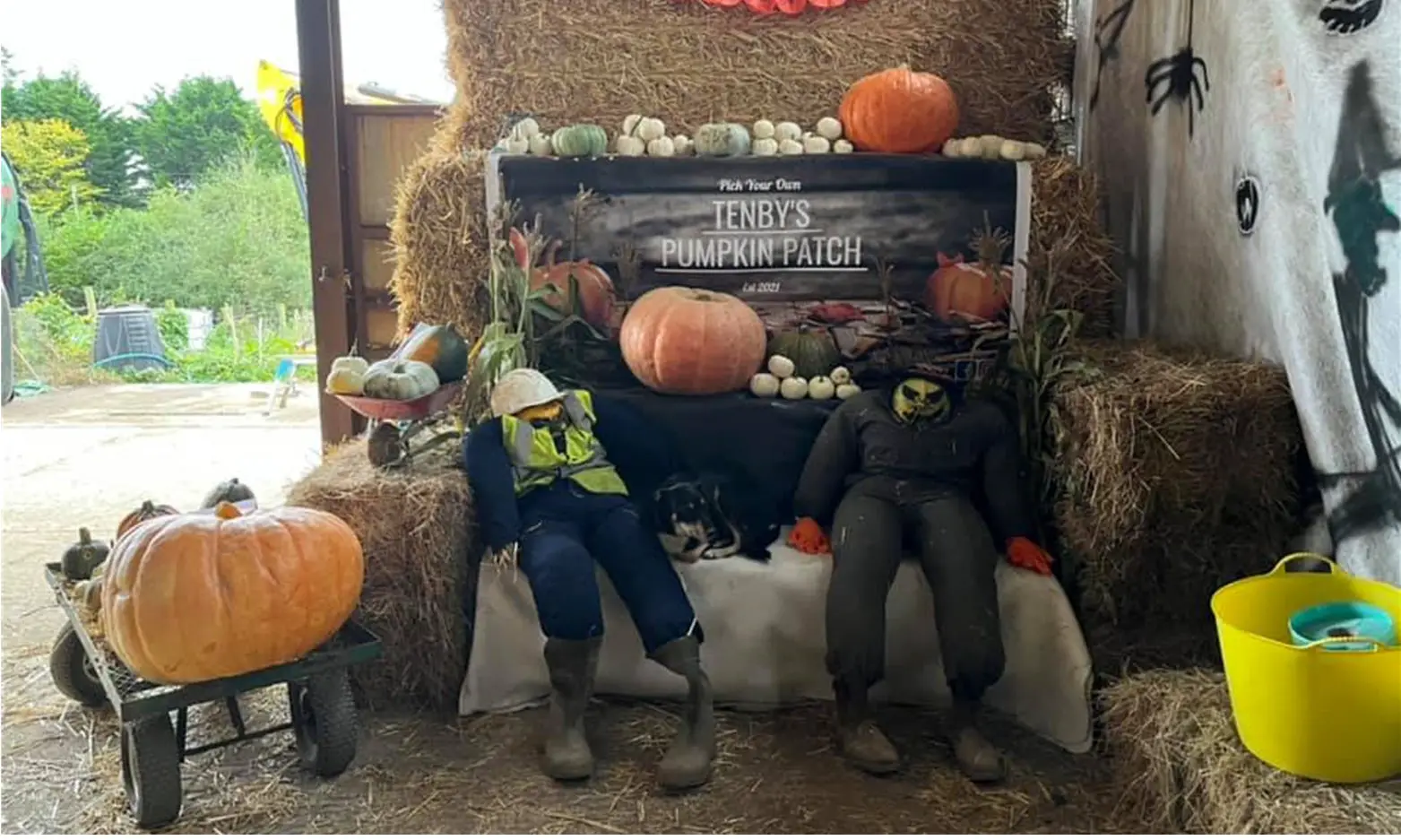WHATS ON IN PEMBROKESHIRE Tenby Pumpkin Patch