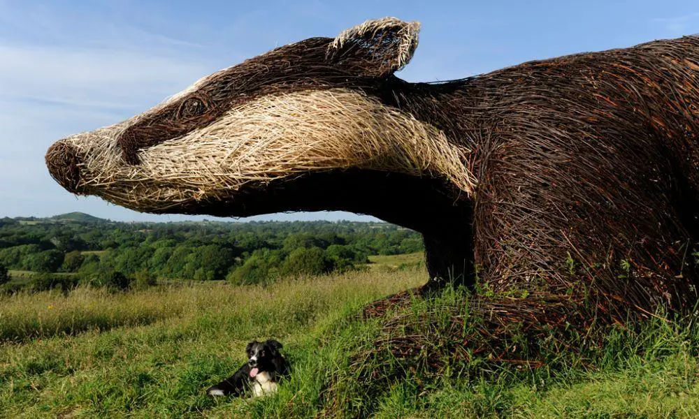 Welsh Wildlife Centre Cilgerran Pembrokeshire