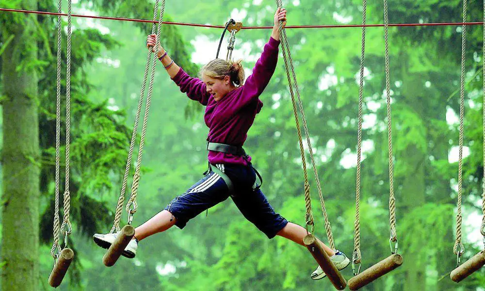 Go Ape Margam