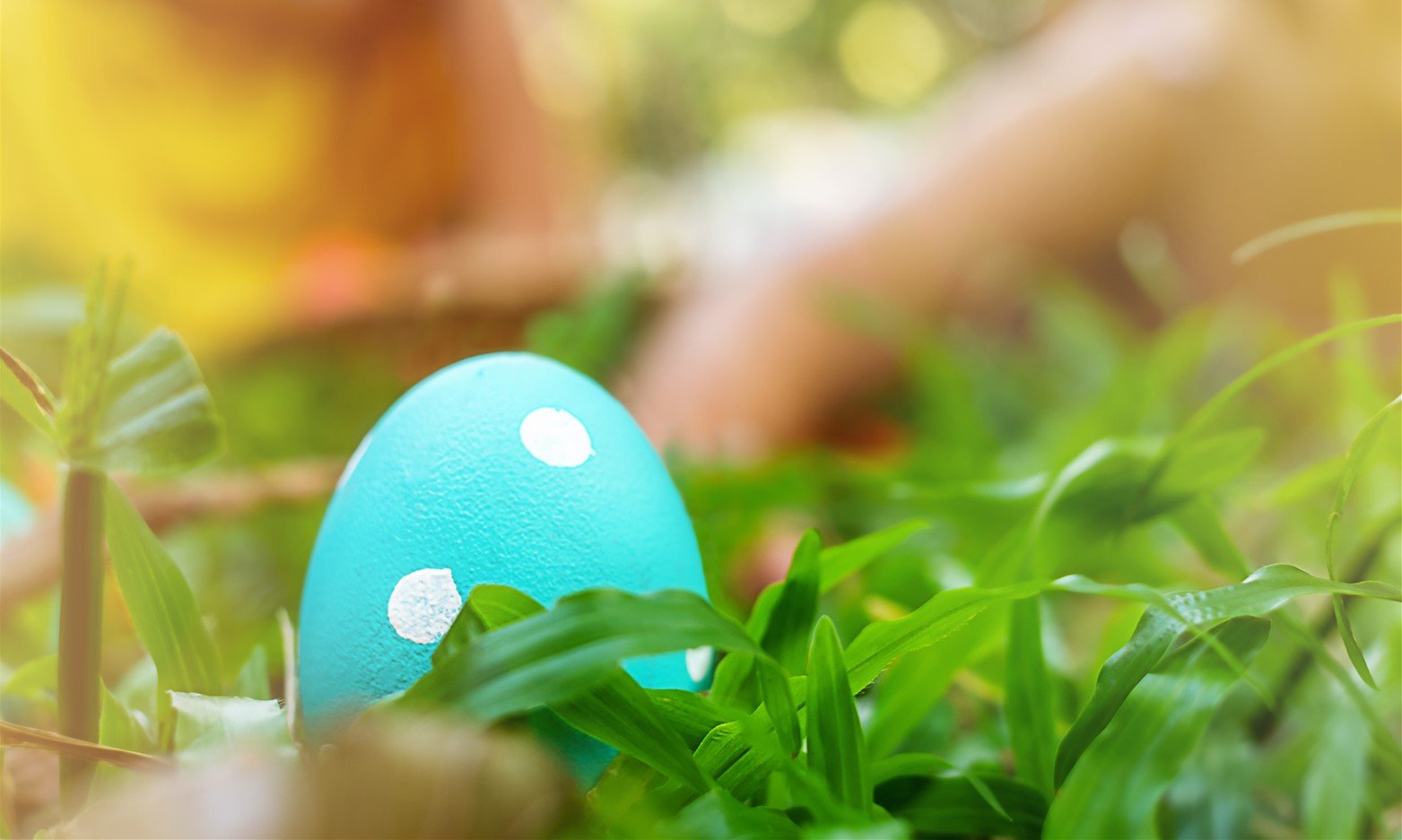 Easter at Dinefwr