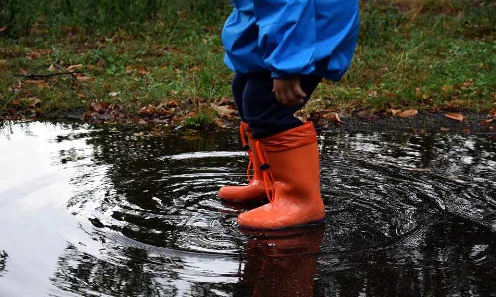 Welly Wednesday at National Botanic Gardens of Wales