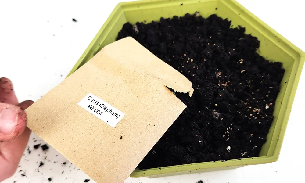 wwf wild scenes cress seeds inside compost