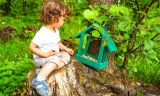 Little Boy Feeding Wild Birds
