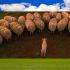 WHATS ON IN CARMARTHENSHIRE Ffwrnes Film Experience - Babe